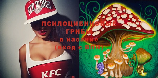 мдпв Гусев
