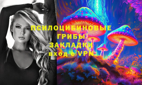гидра Абинск