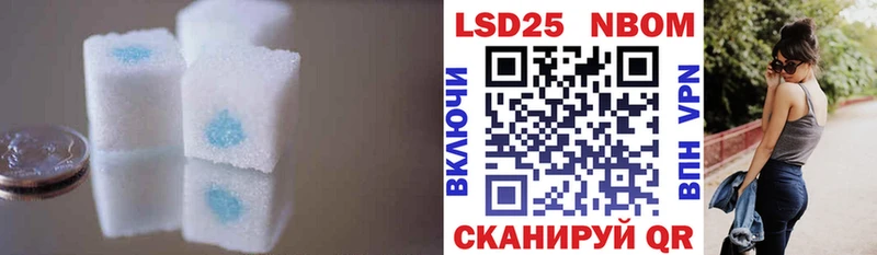 где купить наркотик  Болотное  LSD-25 экстази кислота 